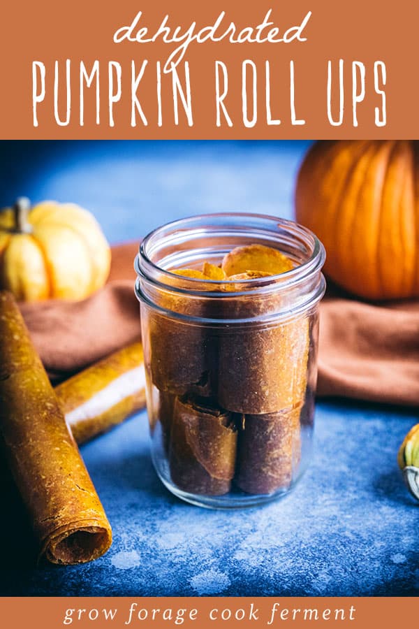 dehydrated pumpkin pie leather roll ups in a jar