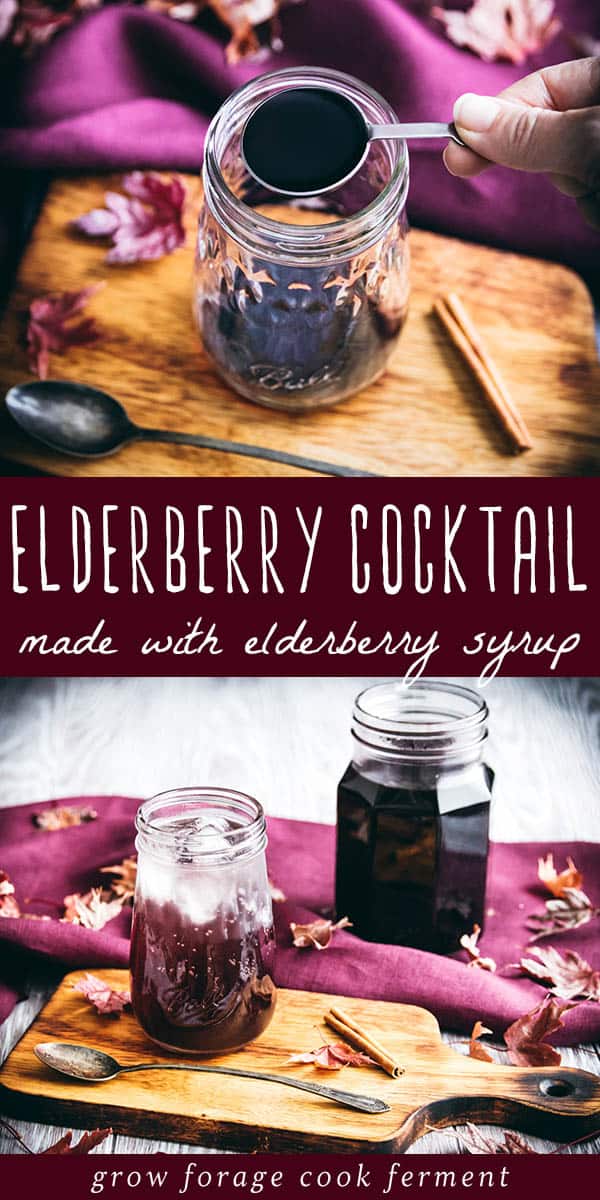 Elderberry Cocktail Made with Elderberry Syrup