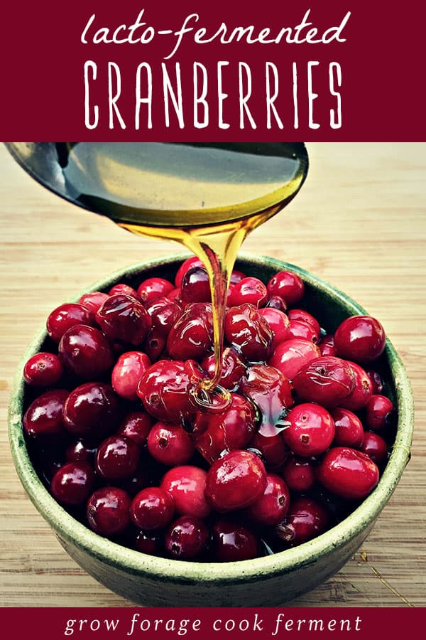 lacto fermented cranberries in a bowl with a spoon of honey