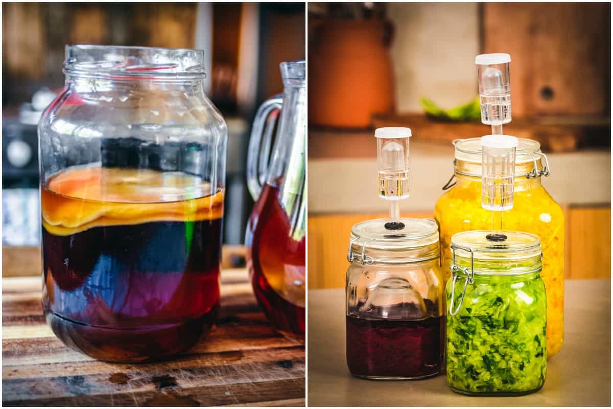 Gift Guide for Fermenters and Homebrewers