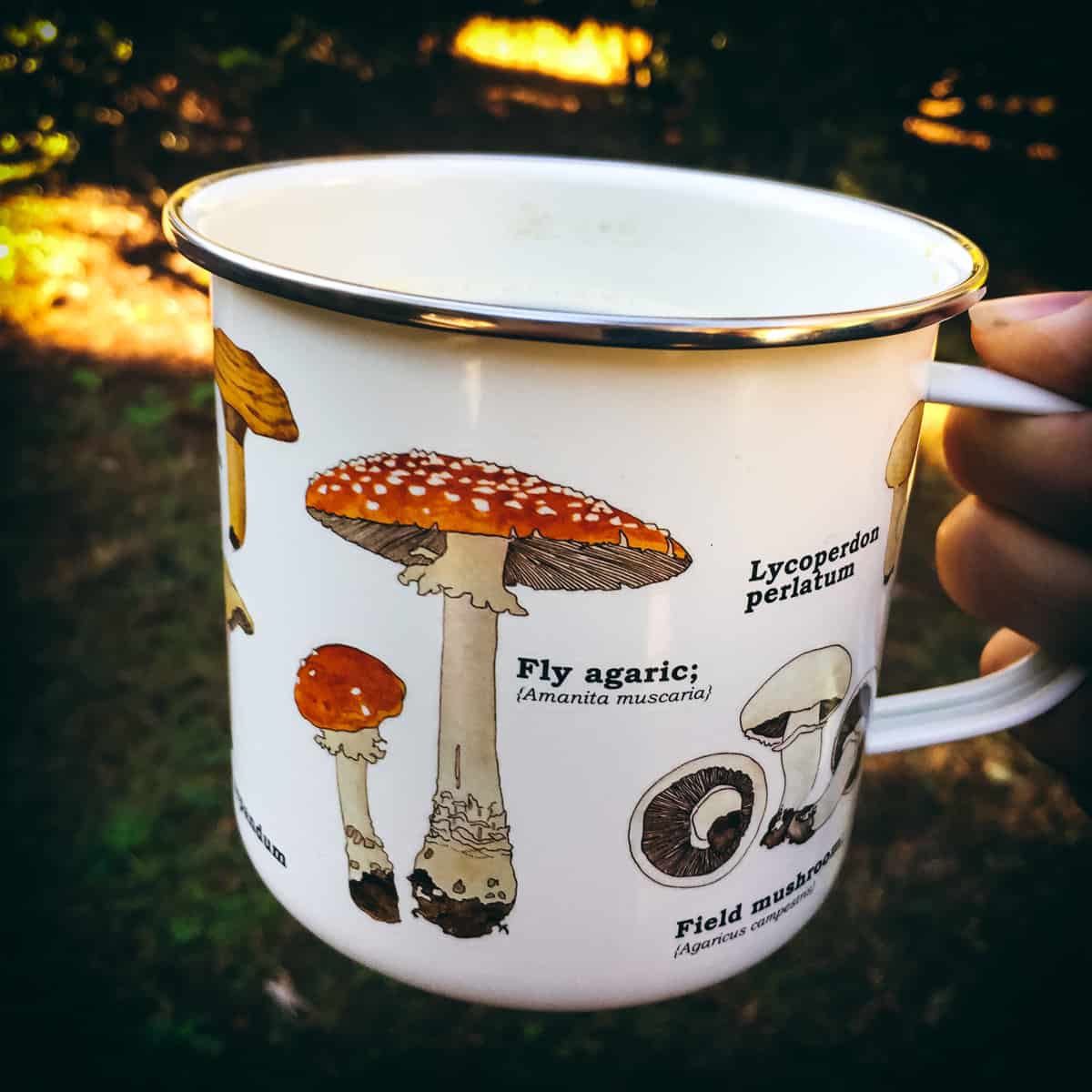 a hand holding a mushroom mug