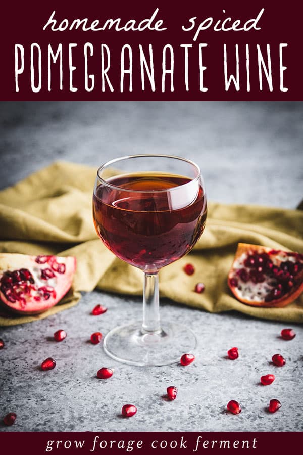 a glass of homemade spiced pomegranate wine