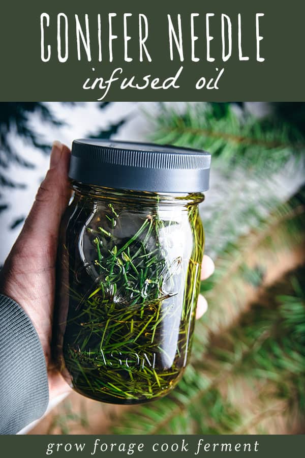 a hand holding a jar of conifer infused oil