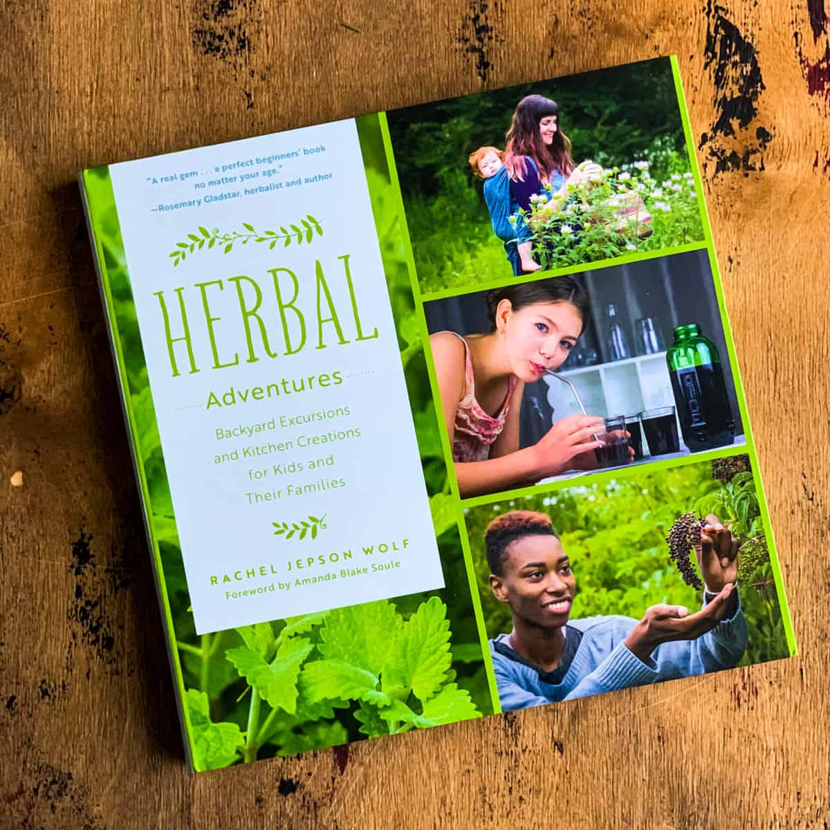 herbal adventures book