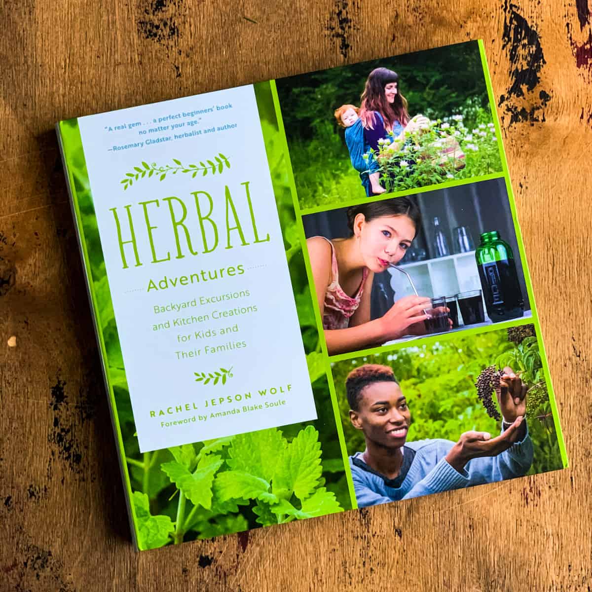 15 Best Books on Herbalism and Natural Body Care