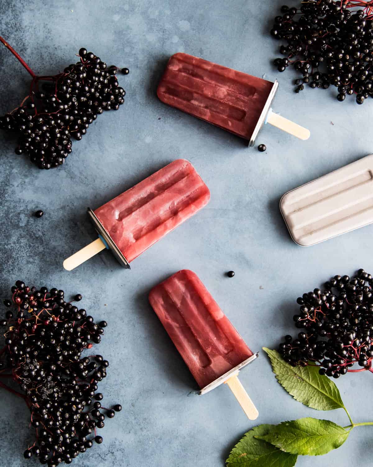 four elderberry popsicles with fresh elderberry clusters