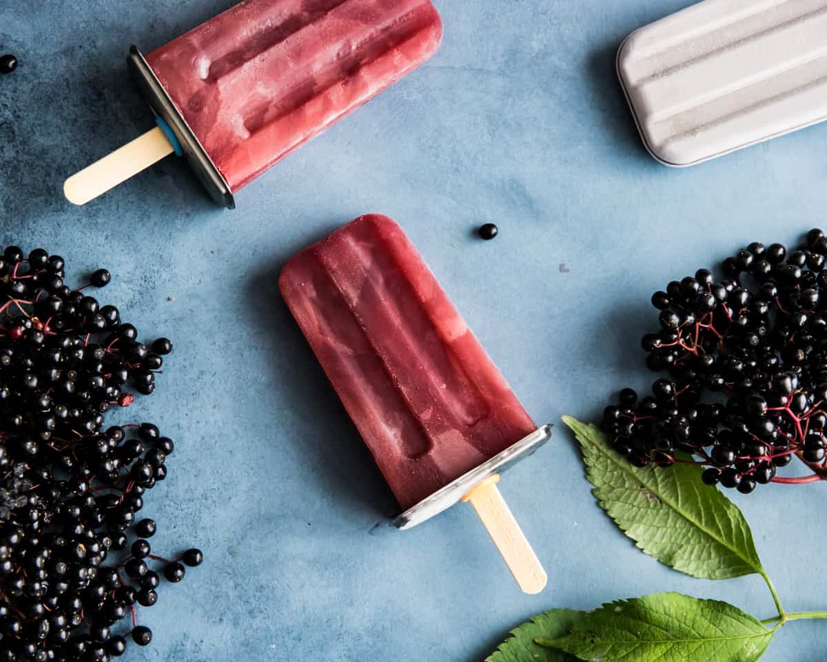 two elderberry ice pops on a blue background