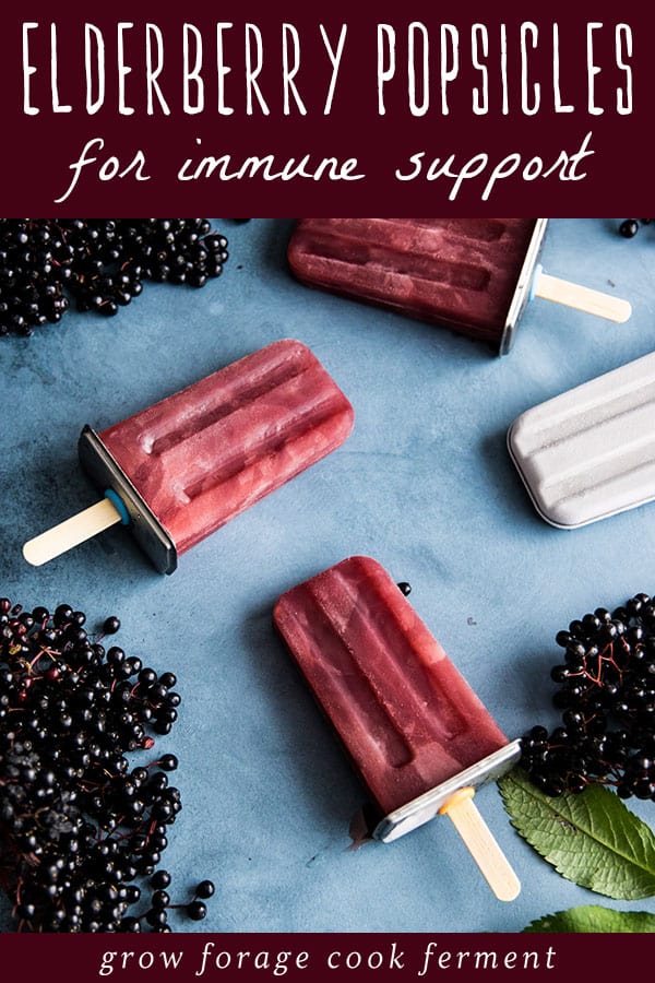 purple elderberry popsicles on a table with fresh elderberries