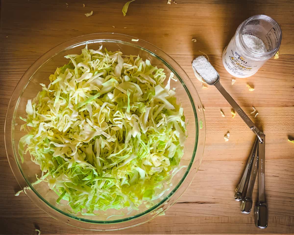 a bowl of shredded cabbage and a spoon of salt for making sauerkraut