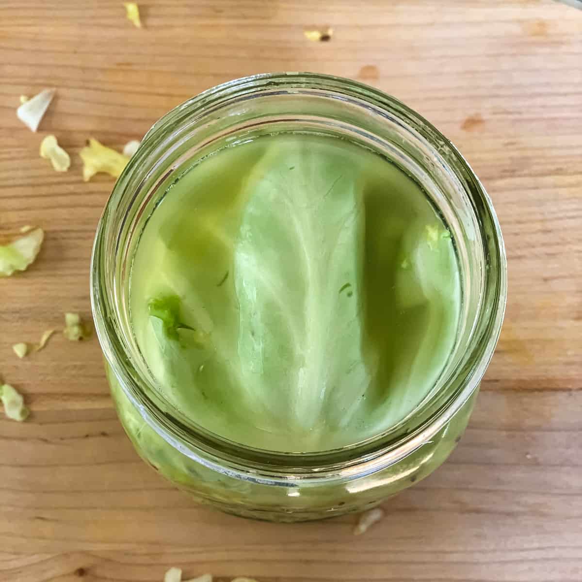 a cabbage leaf on top of the shredded cabbage