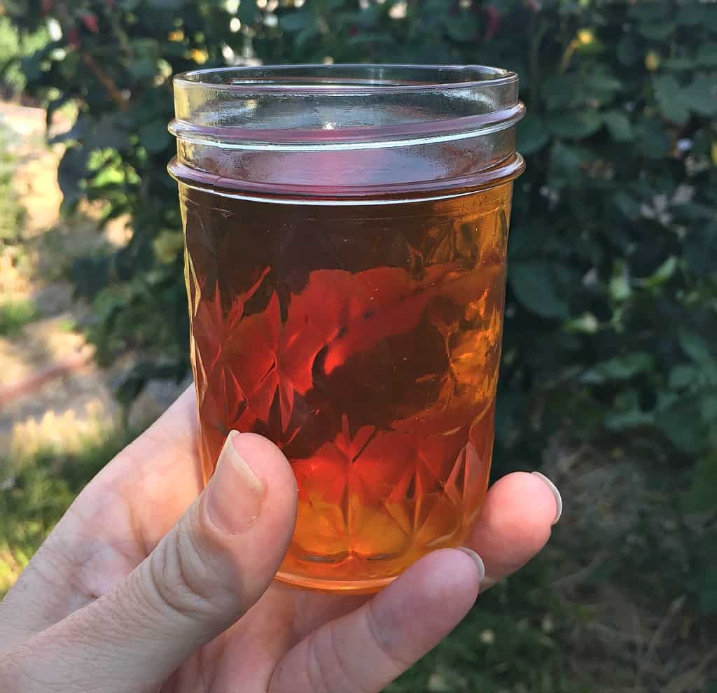 a hand holding a glass of maple mead