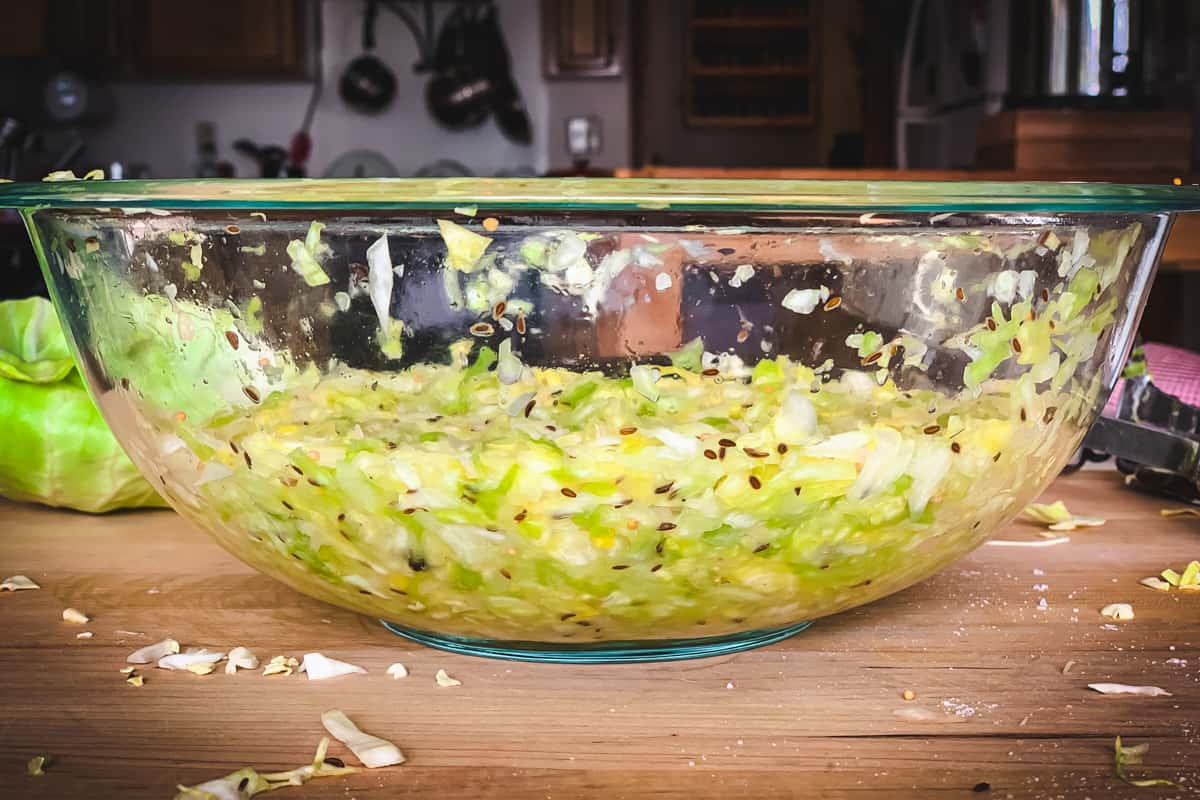 cabbage in a bowl after it has been mashed to make sauerkraut