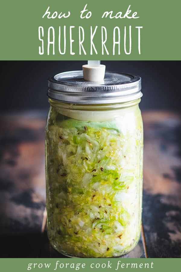 a mason jar of fermented sauerkraut