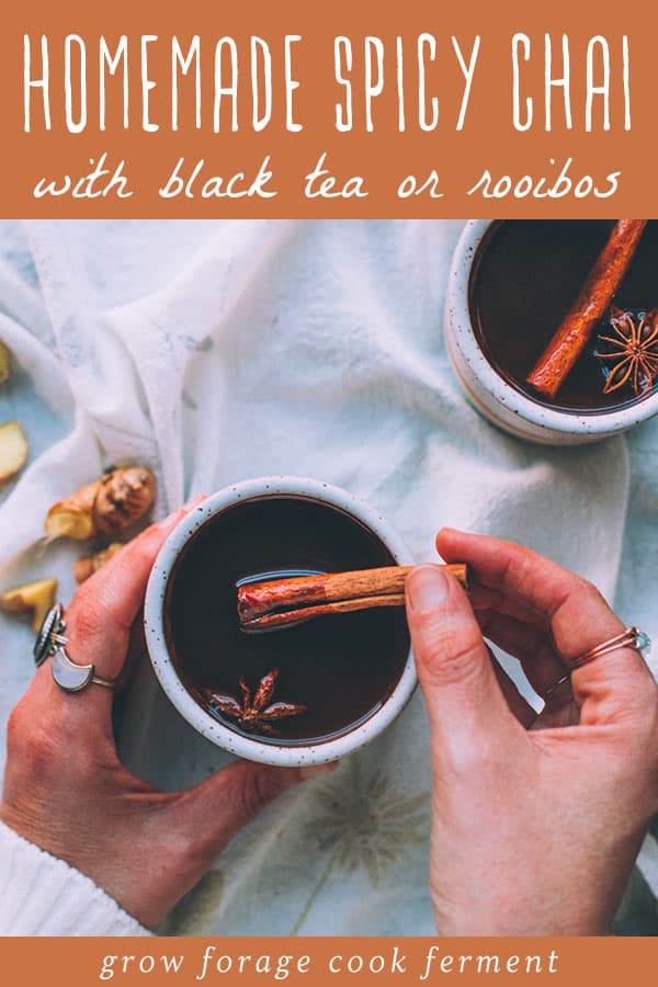 a woman's hand holding a mug of homemade spicy chai