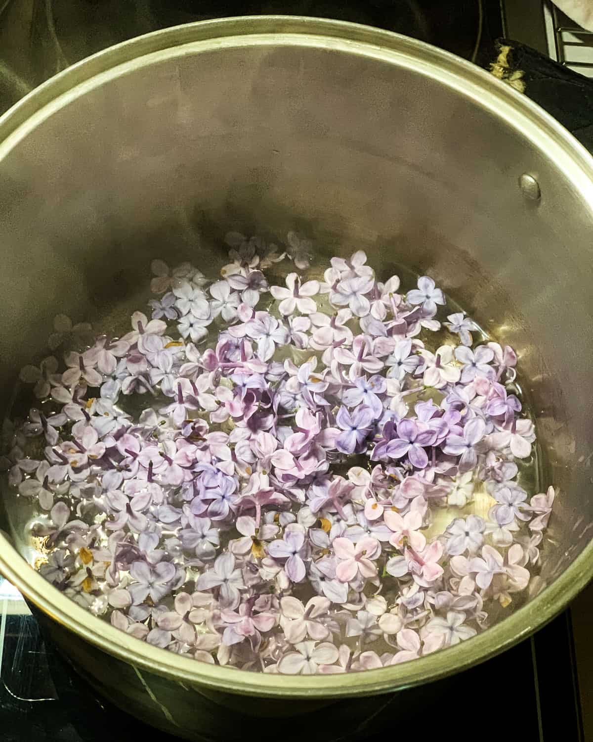 a pot of lilac tea brewing on the stove