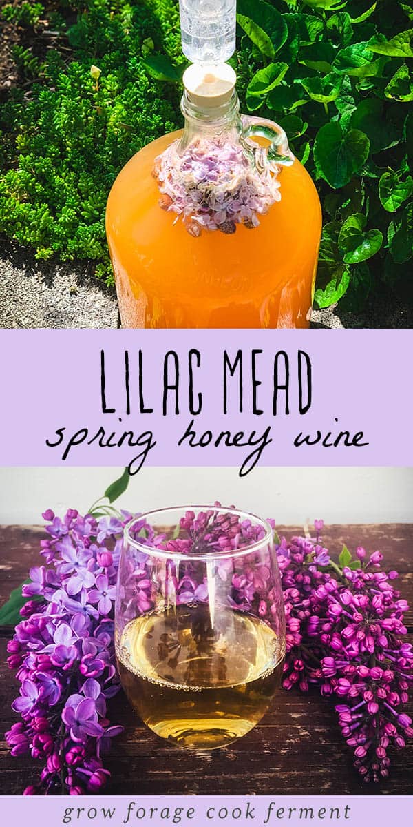 Lilac Mead Floral Honey Wine for Spring