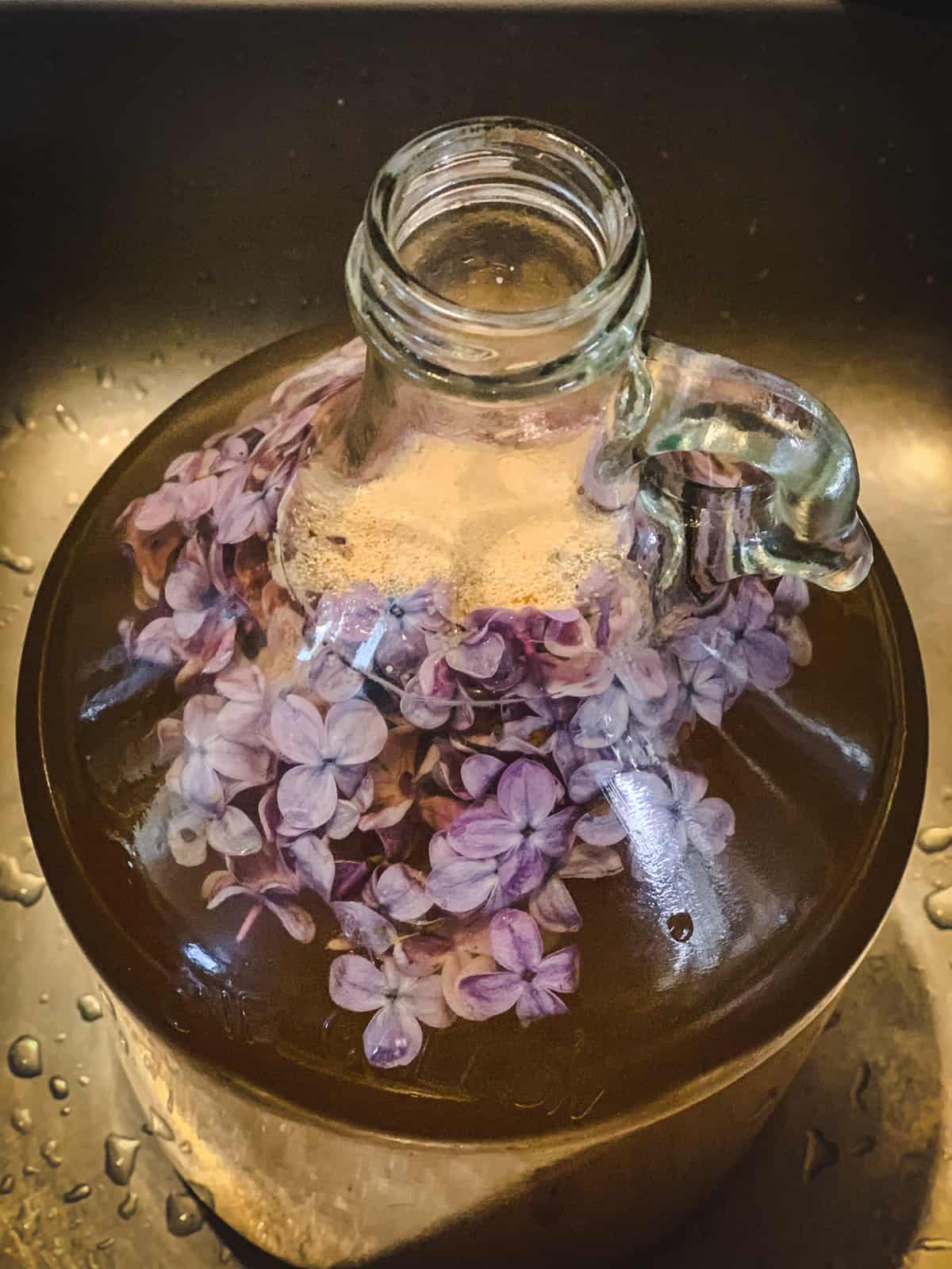 wine yeast on top of the lilac mead must