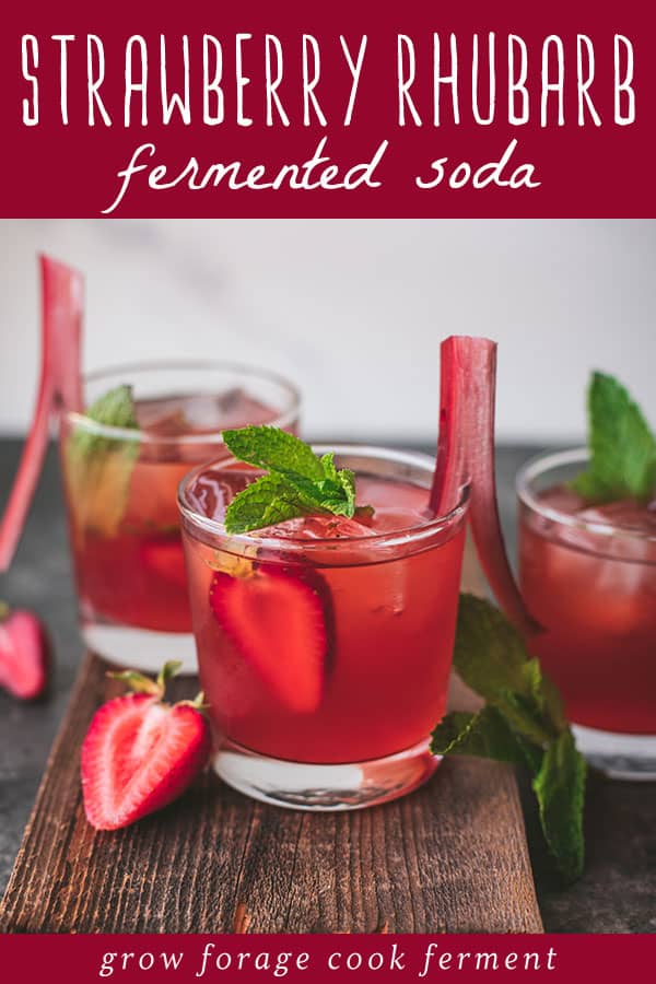 a glass of homemade fermented strawberry rhubarb soda on a wooden board