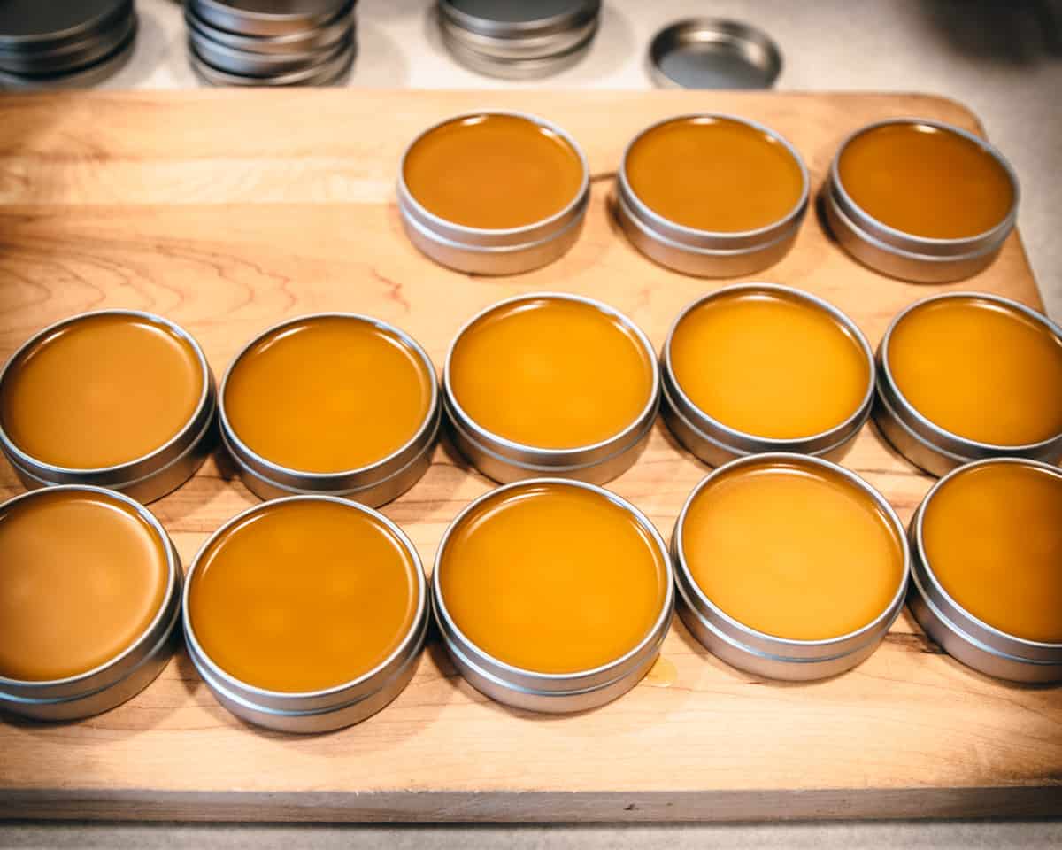 tins of freshly poured calendula salve