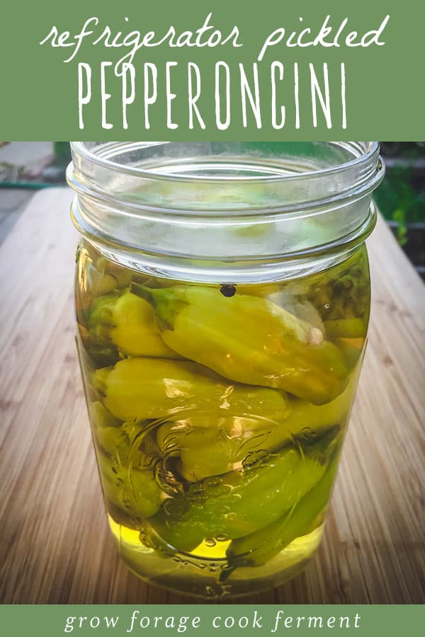a jar of quick pickled pepperoncini peppers