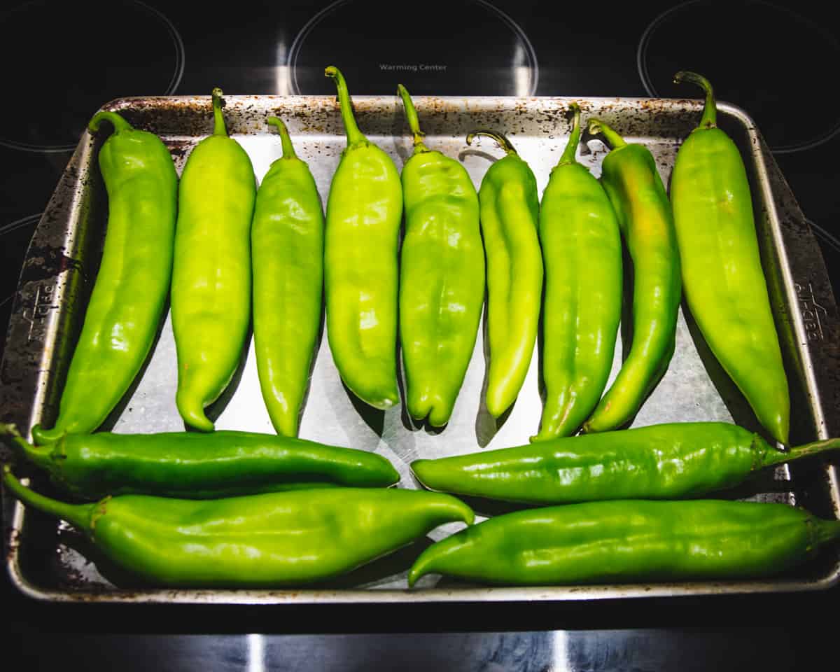 Fresh green chile peppers in a single layer on a sheet pan.