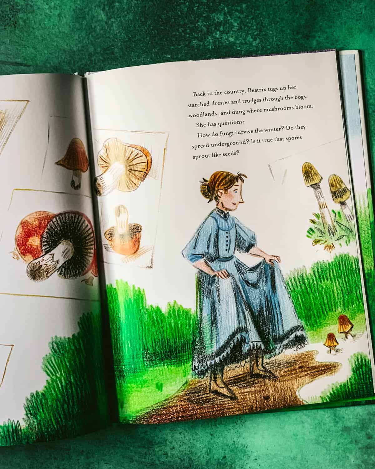 beatrix potter scientist opened up to a page with her looking at mushrooms