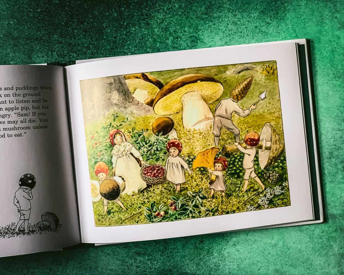 children of the forest opened up to a page with a mushroom family