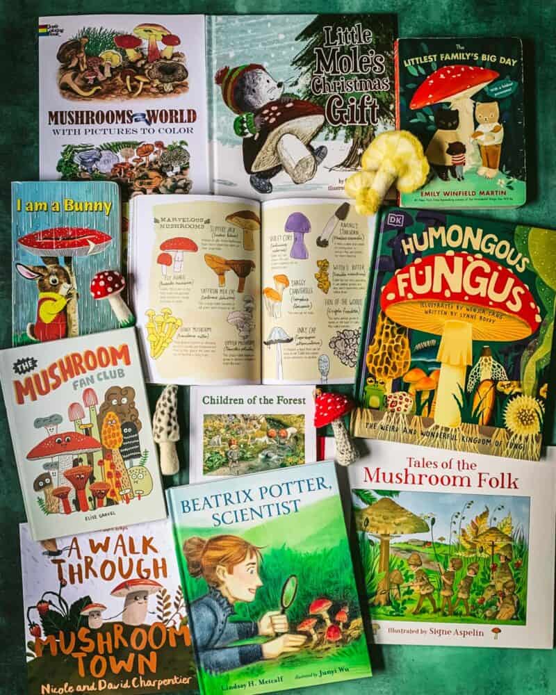 15+ Best Mushroom Books for Kids