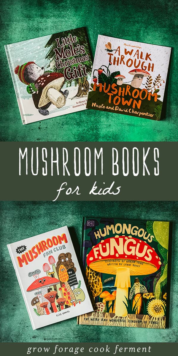 15+ Best Mushroom Books for Kids