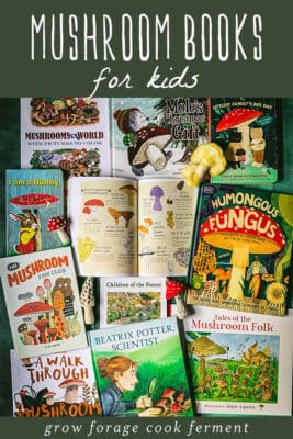 15+ Best Mushroom Books for Kids