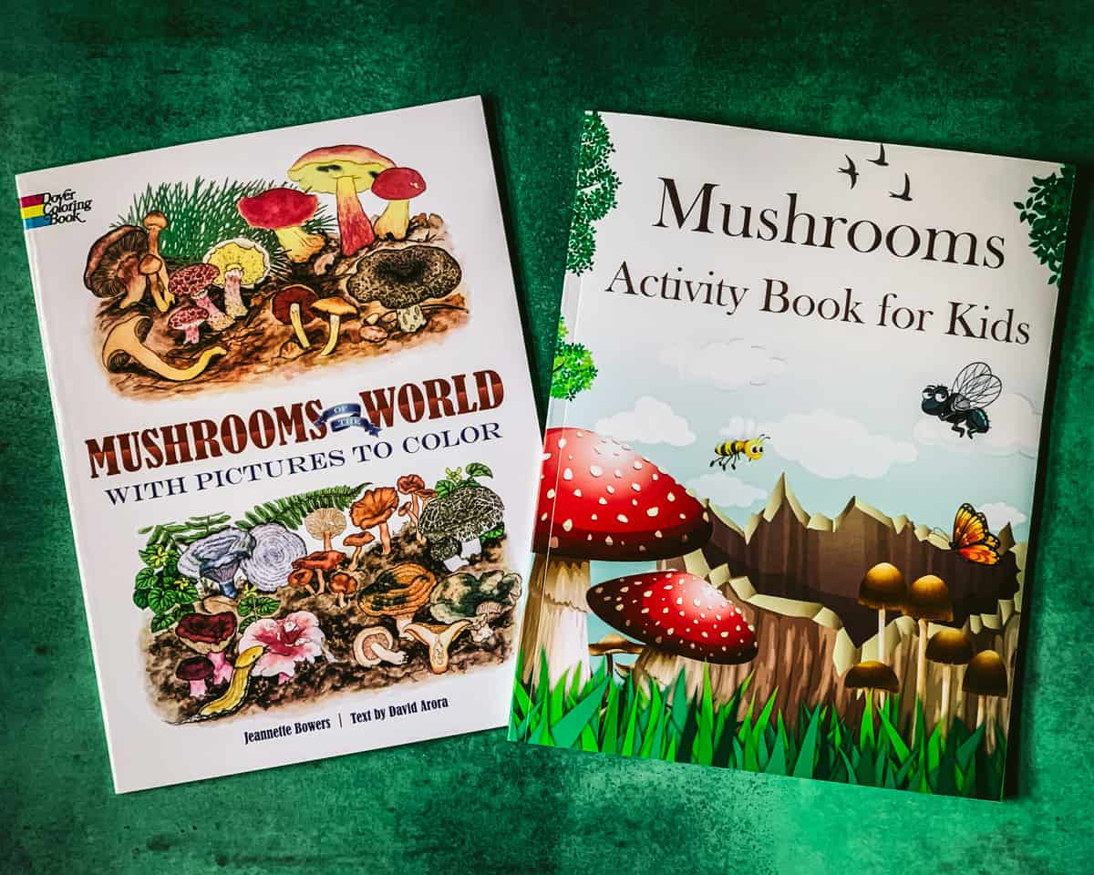 mushrooms of the world and mushrooms activity book for kids on a green table