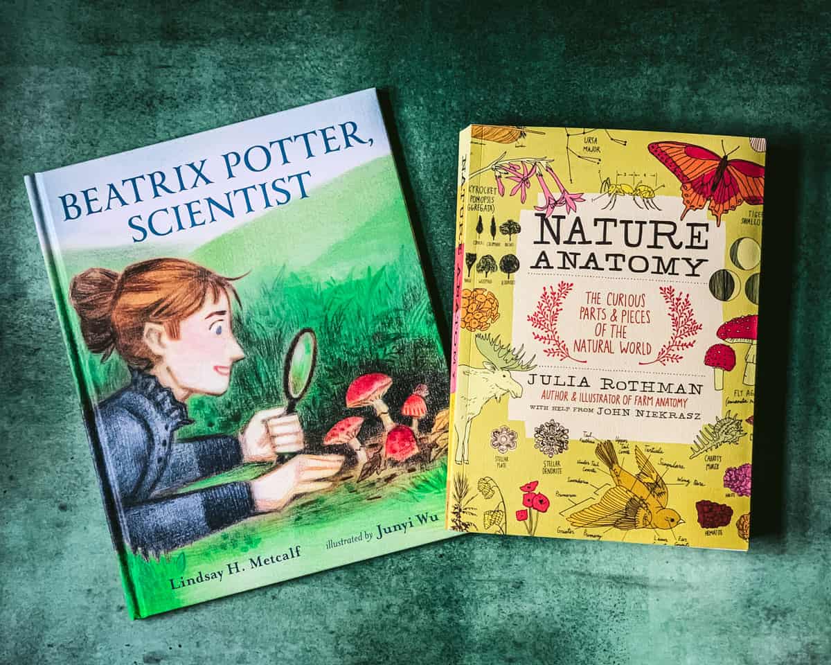 beatrix potter scientist and nature anatomy books on a green table