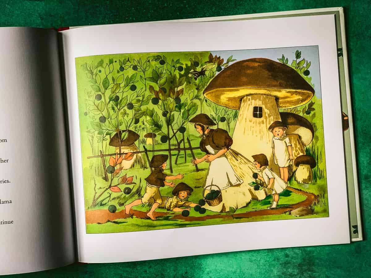 tales of the mushroom folk opened to a page showing a porcini mushroom family