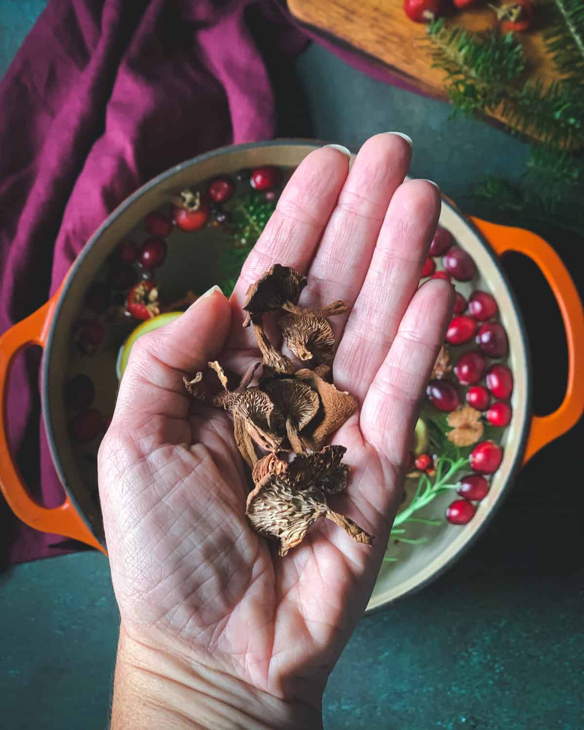 a hand holding dried candy cap mushrooms