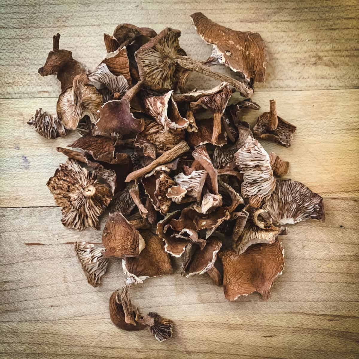 dried candy cap mushrooms on a wooden cutting board