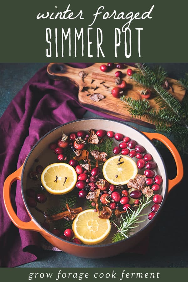 a winter foraged simmer pot or natural potpourri