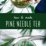 how to make pine needle tea
