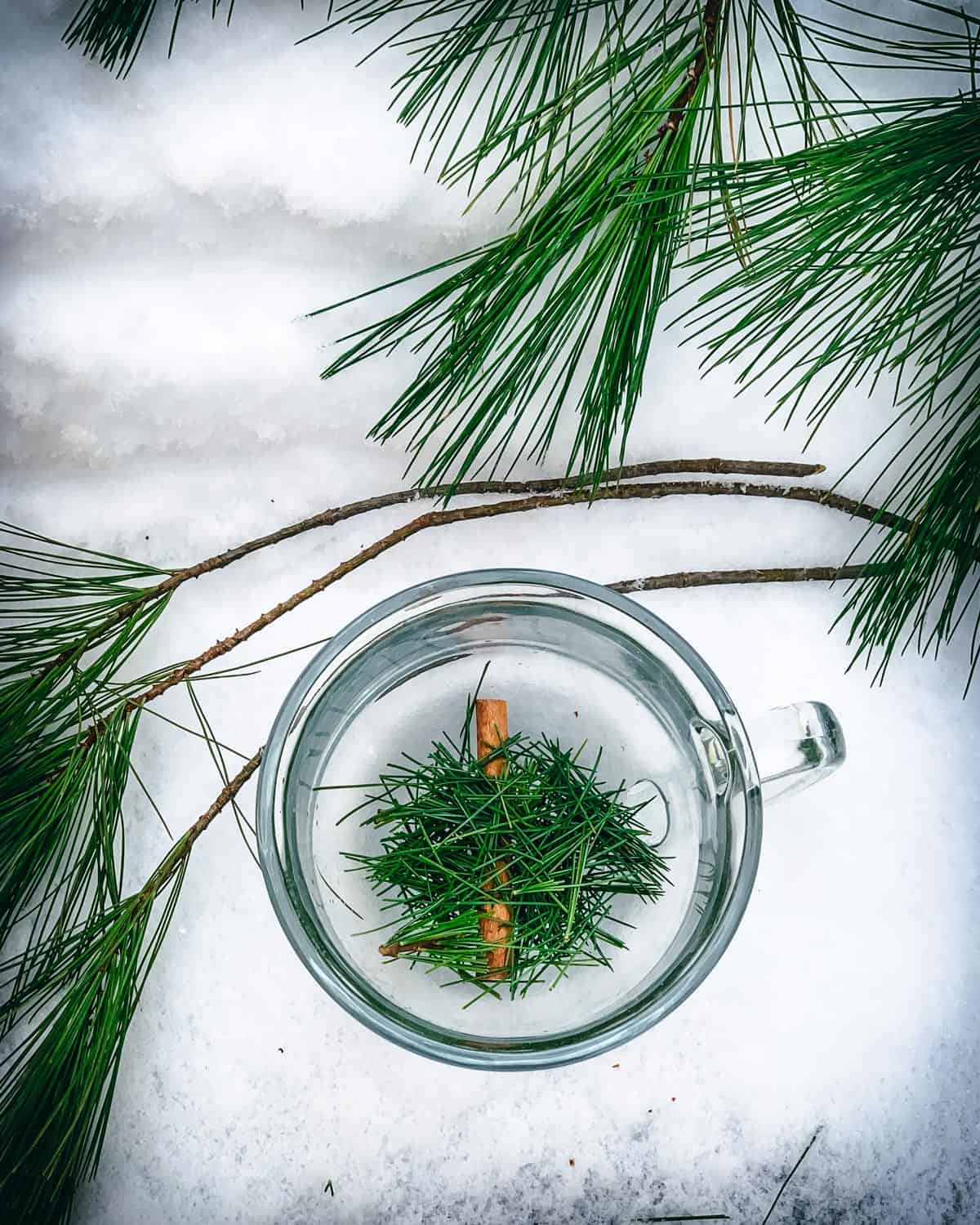 a mug with broken pine needles and a cinnamon stick in the snow