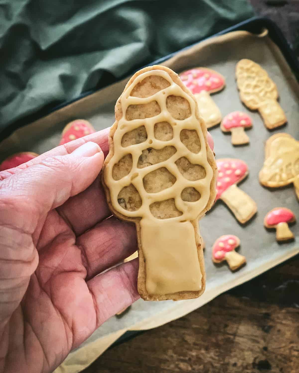 a hand holding a morel mushroom cookie with maple icing