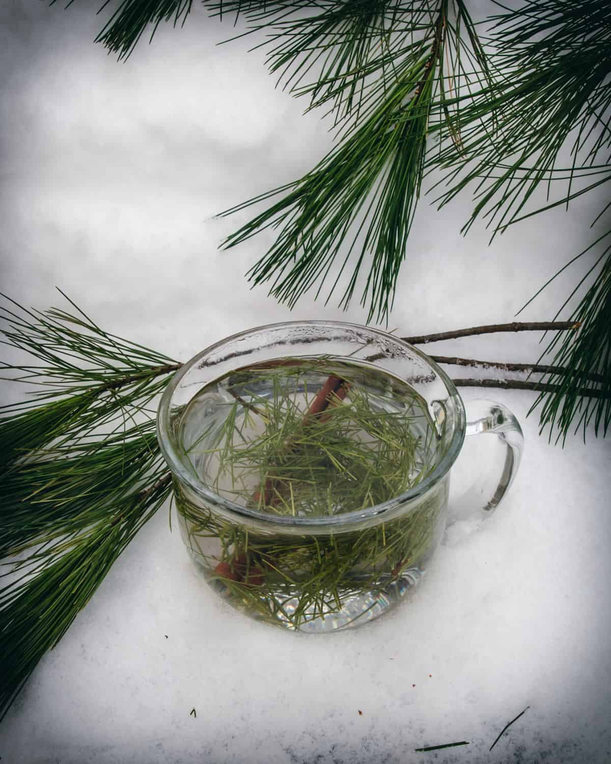 a mug of pine needle tea with a cinnamon stick in the snow