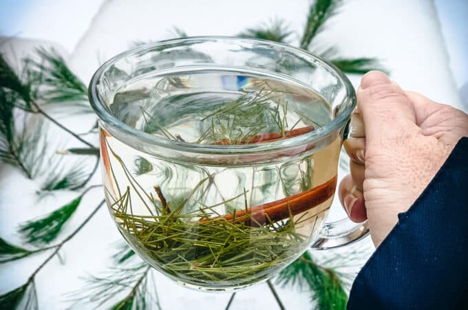 a hand holding a mug of pine needle tea with snow and pine needles in the background