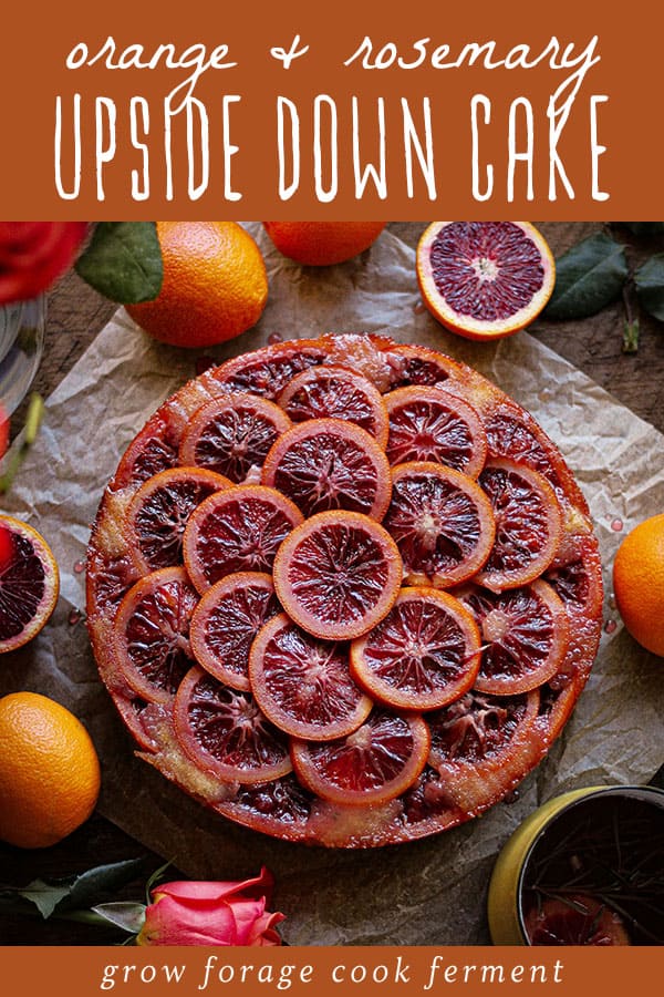 A finished blood orang upside down cake that is whole with sliced oranges on top. 