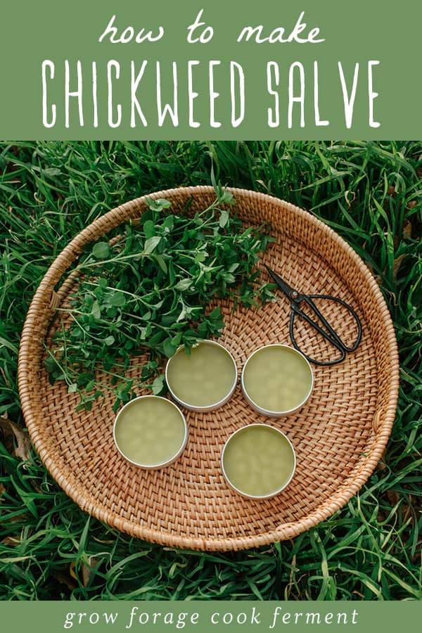 Tins of chickweed salve and fresh chickweed in a natural basket sitting in grass, with a top bar of green background and white lettering saying How to make chickweed salve. 