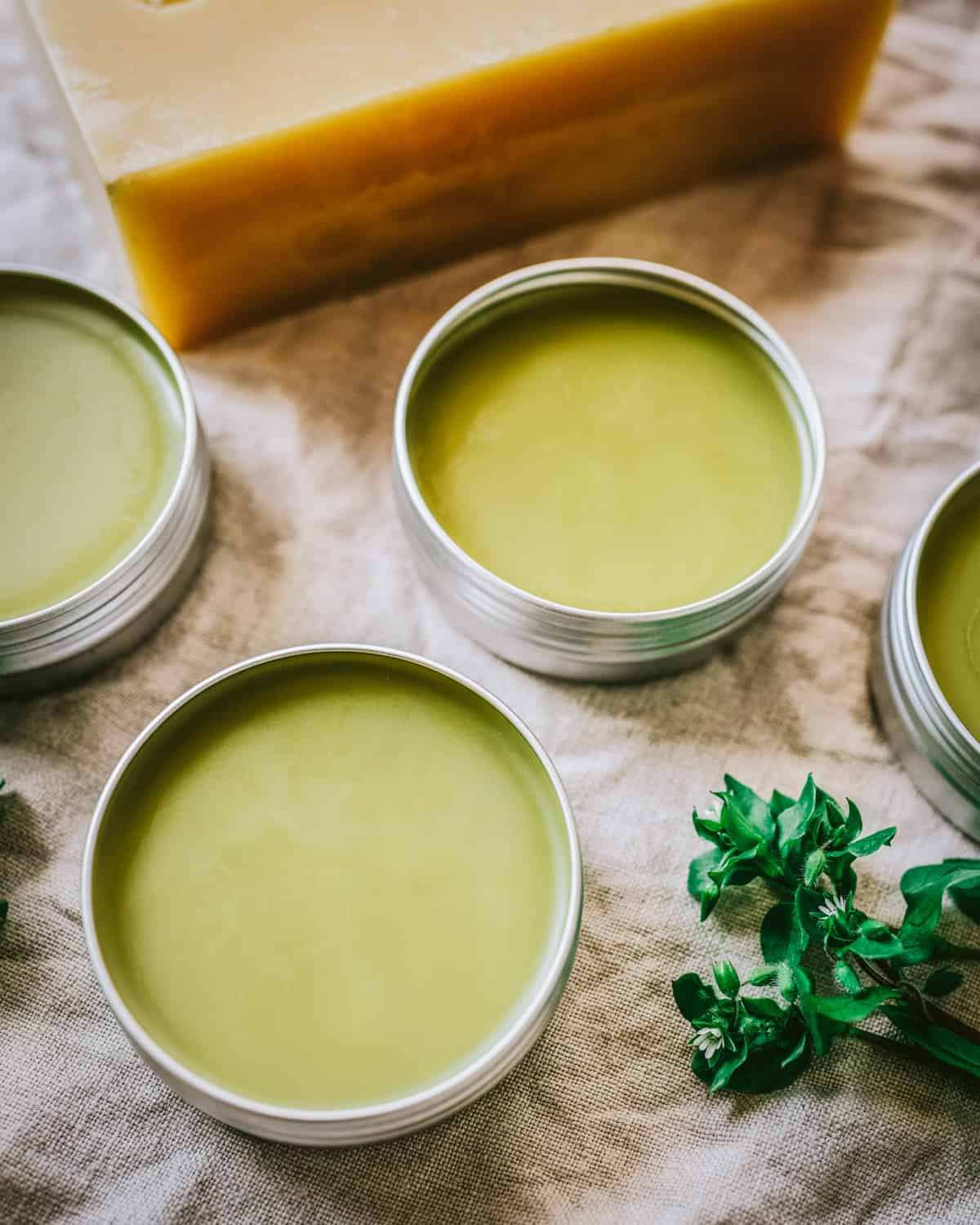 3 tins of chickweed salve with fresh chickweed and a bar of beeswax surrounding, on a natural colored cloth.