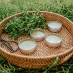 Chickweed in tins and fresh chickweed in a natural basket.