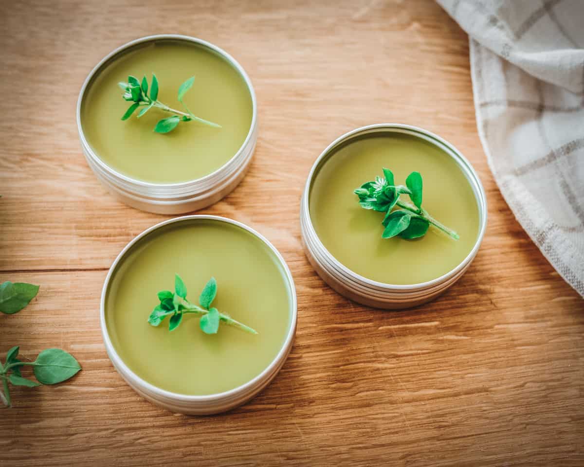 3 tins of finished chickweed salve with fresh sprigs of chickweed sitting on top. 