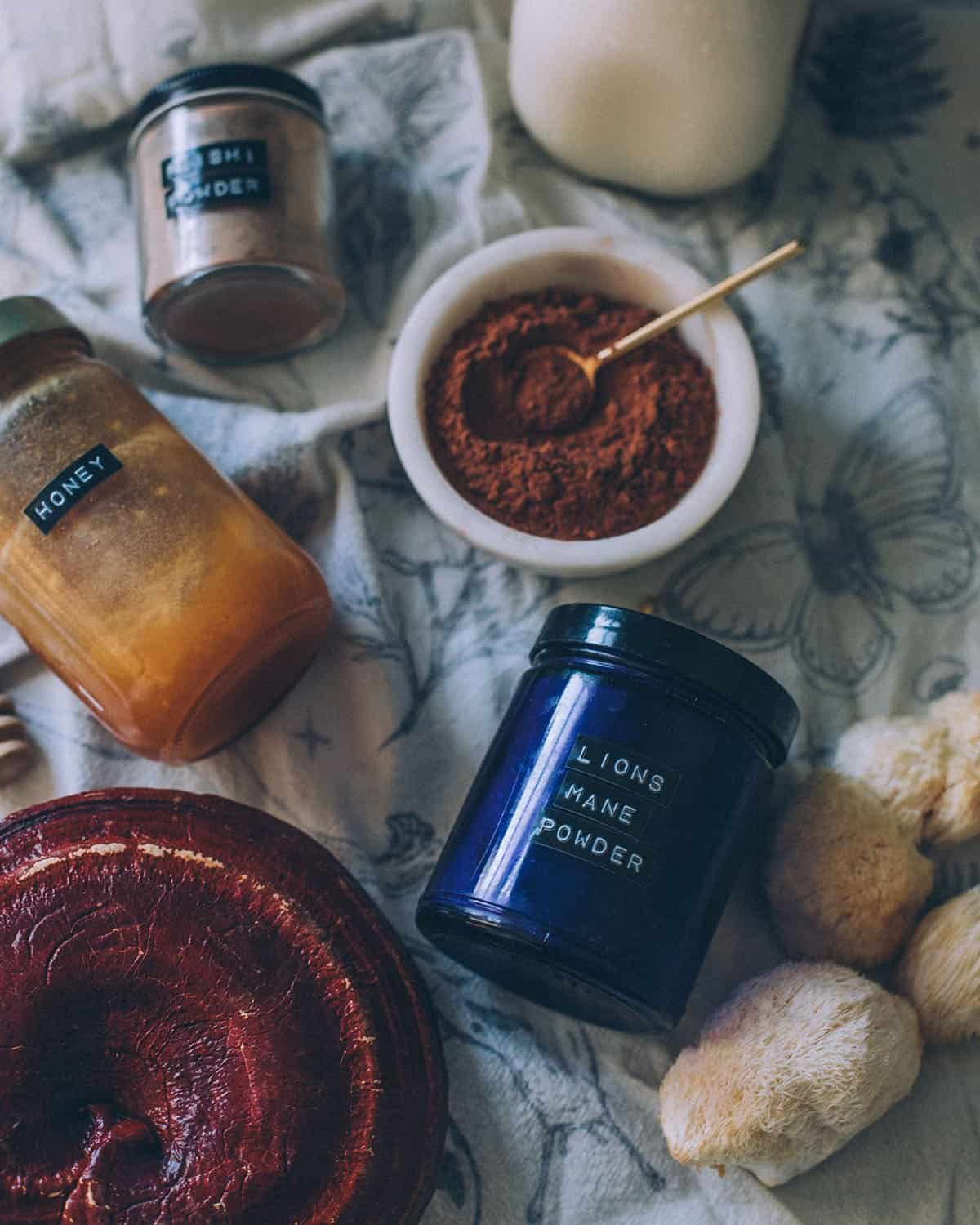 jars of reishi and lion's mane powder, a bowl of cocoa powder, and a jar of honey