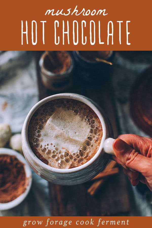 a hand holding a mug of mushroom hot chocolate with a homemade marshmallow