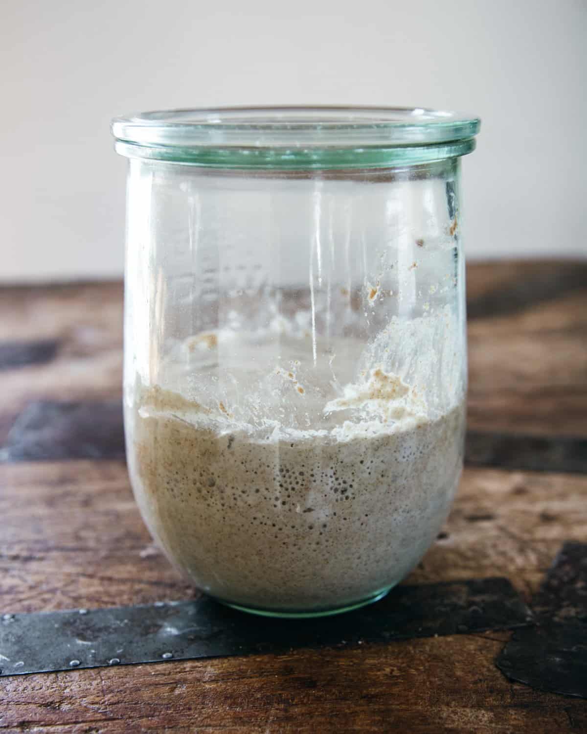Jar filled halfway with sourdough starter that is beginning to bubble, topped with a glass lid.