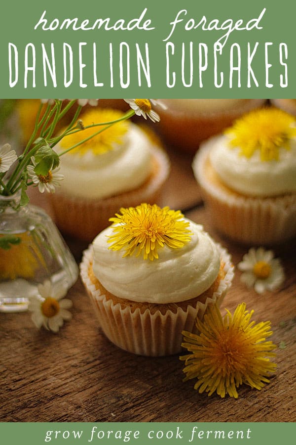 Dandelion cupcakes with lemon frosting on top and a dandelion flower head on each cupcake. A green banner at top reads homemade foraged dandelion cupcakes.